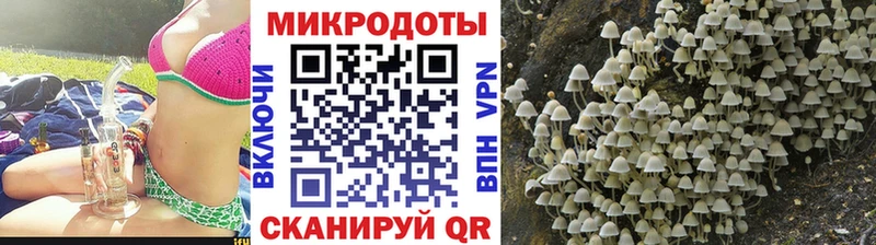 Псилоцибиновые грибы MAGIC MUSHROOMS  Барыш 