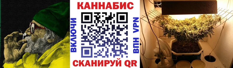 Канабис ГИДРОПОН  KRAKEN ССЫЛКА  Барыш 